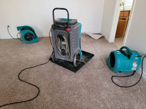 Best Professional water damage repair  in Syracuse, UT