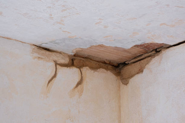 Best Ceiling water damage repair  in Syracuse, UT