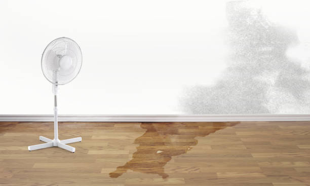 Best Water damage restoration near me  in Syracuse, UT
