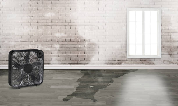 Reliable UT Water damage restoration Solutions