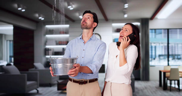 Best Basement water damage restoration  in Syracuse, UT