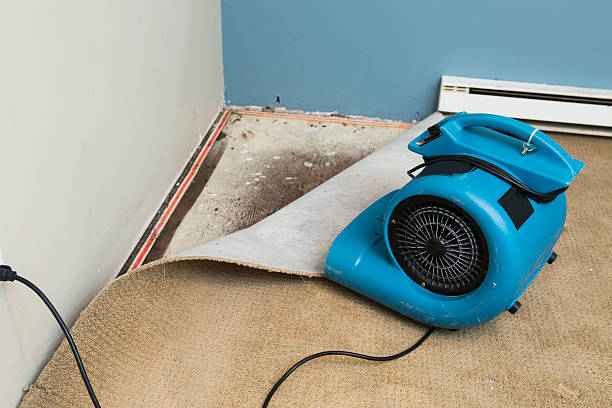 Best 24-hour water damage restoration  in Syracuse, UT